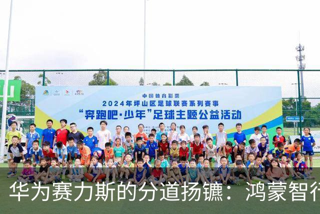 华为赛力斯的分道扬镳：鸿蒙智行面临的困局